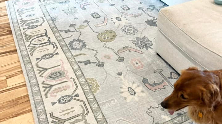 Light blue Oushak rug in a minimalist living room, creating a breezy coastal-inspired atmosphere for summer.