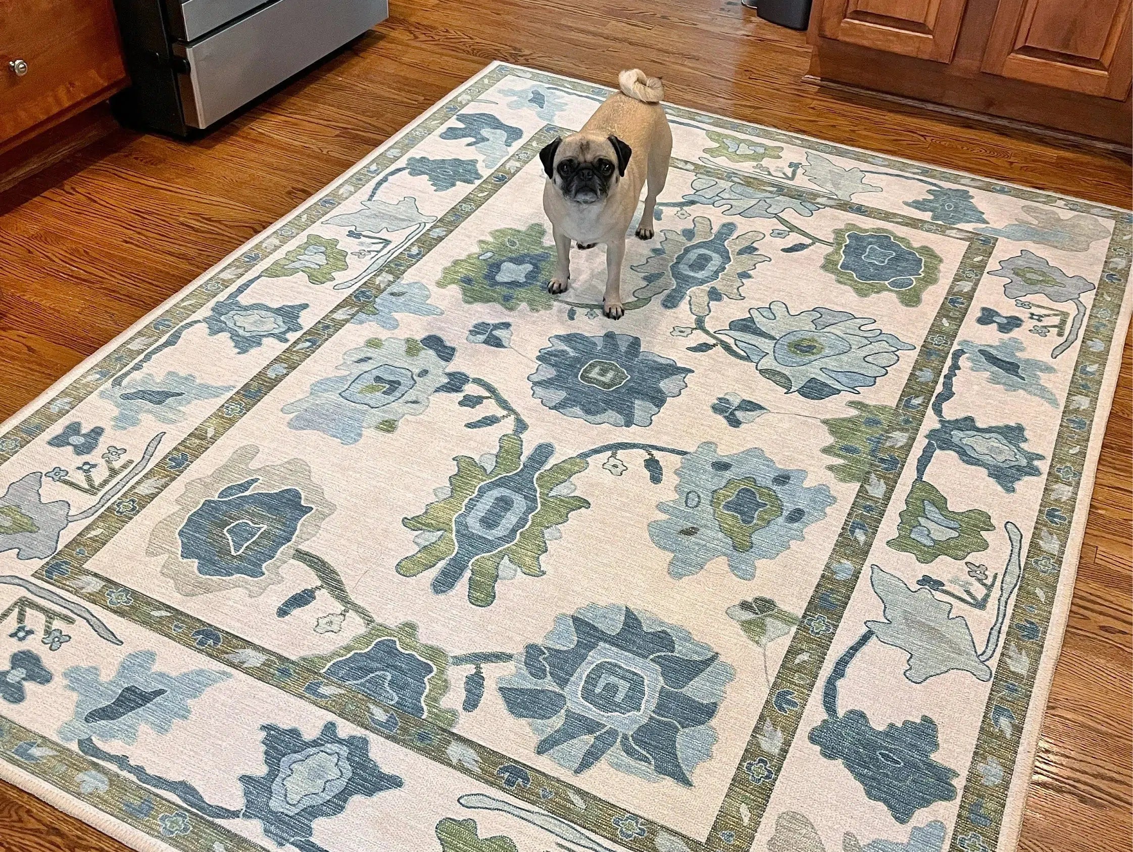 Affordable Modern Oushak Rugs