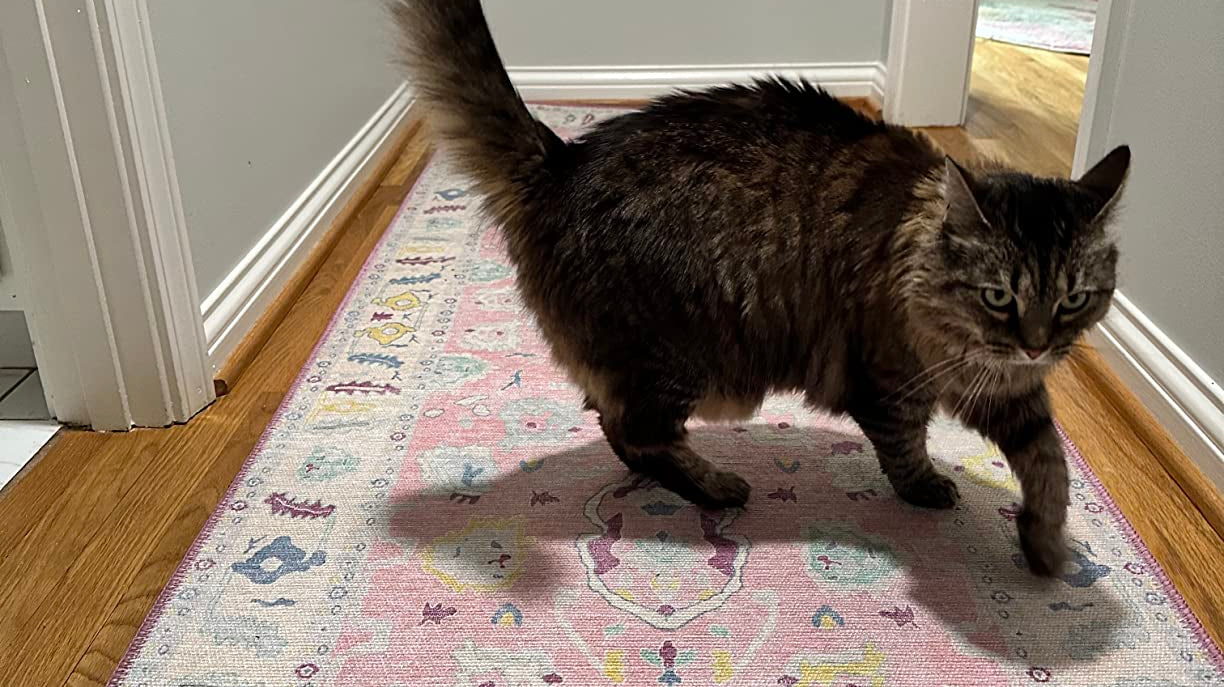 Washable hallway runner rug with a cat, ideal for homes with kids, pets, and everyday messes.