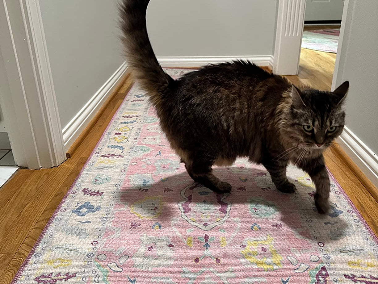 Washable hallway runner rug with a cat, ideal for homes with kids, pets, and everyday messes.