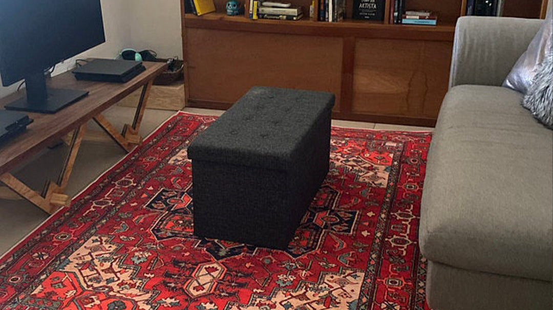 Vintage-style red area rug in a cozy living room with neutral furniture and warm décor accents.