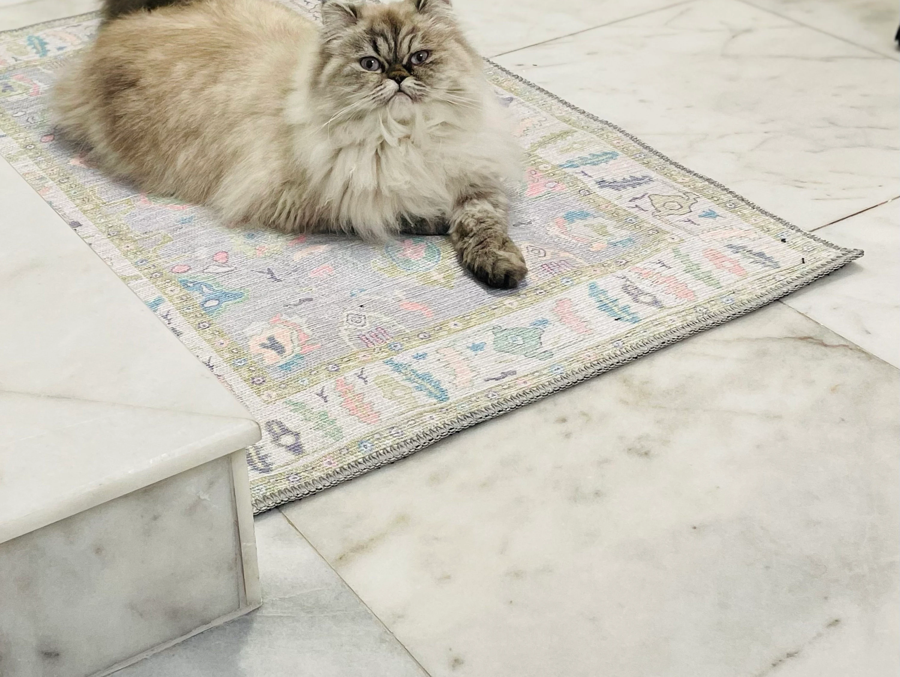 Cat lounging on a soft, washable bathroom rug, adding a cozy and playful touch to the bright, stylish bathroom space.