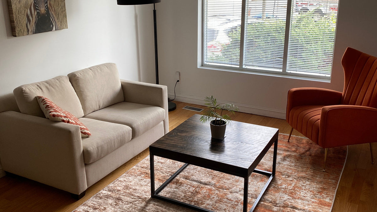 Burnt orange area rug adding warmth and rich color to a stylish living room with modern décor.