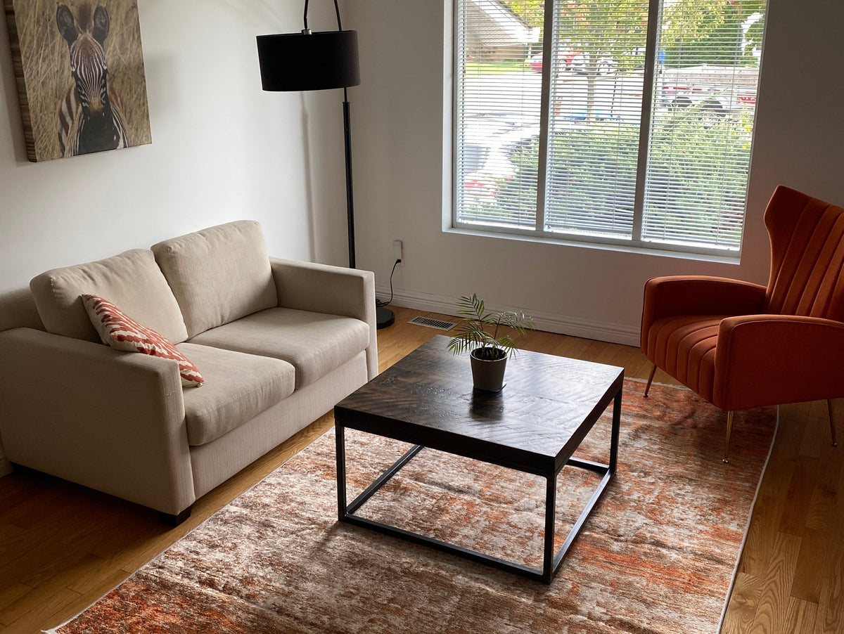 Burnt orange area rug adding warmth and rich color to a stylish living room with modern décor.