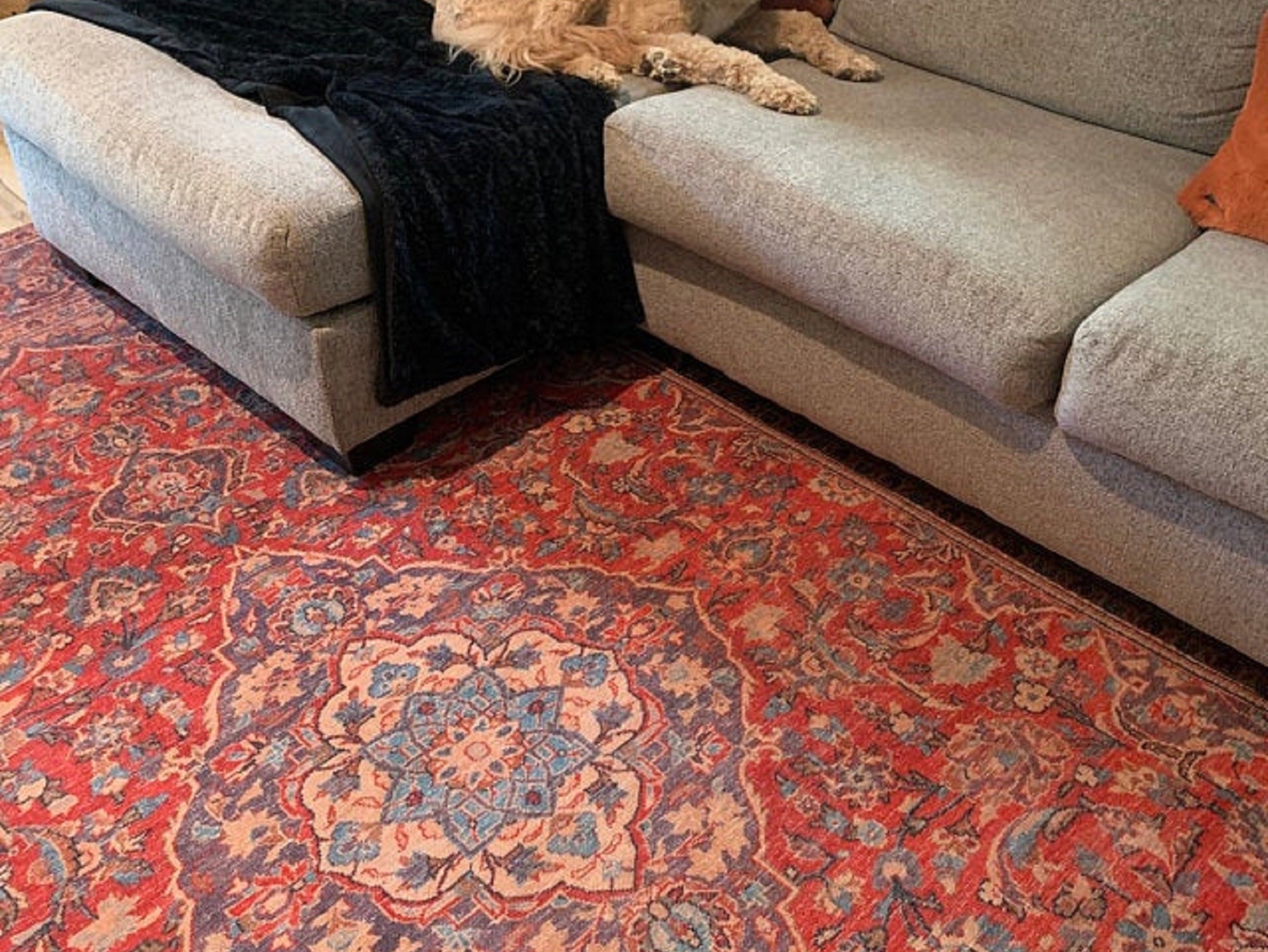 Reasons to GO for Red Rugs