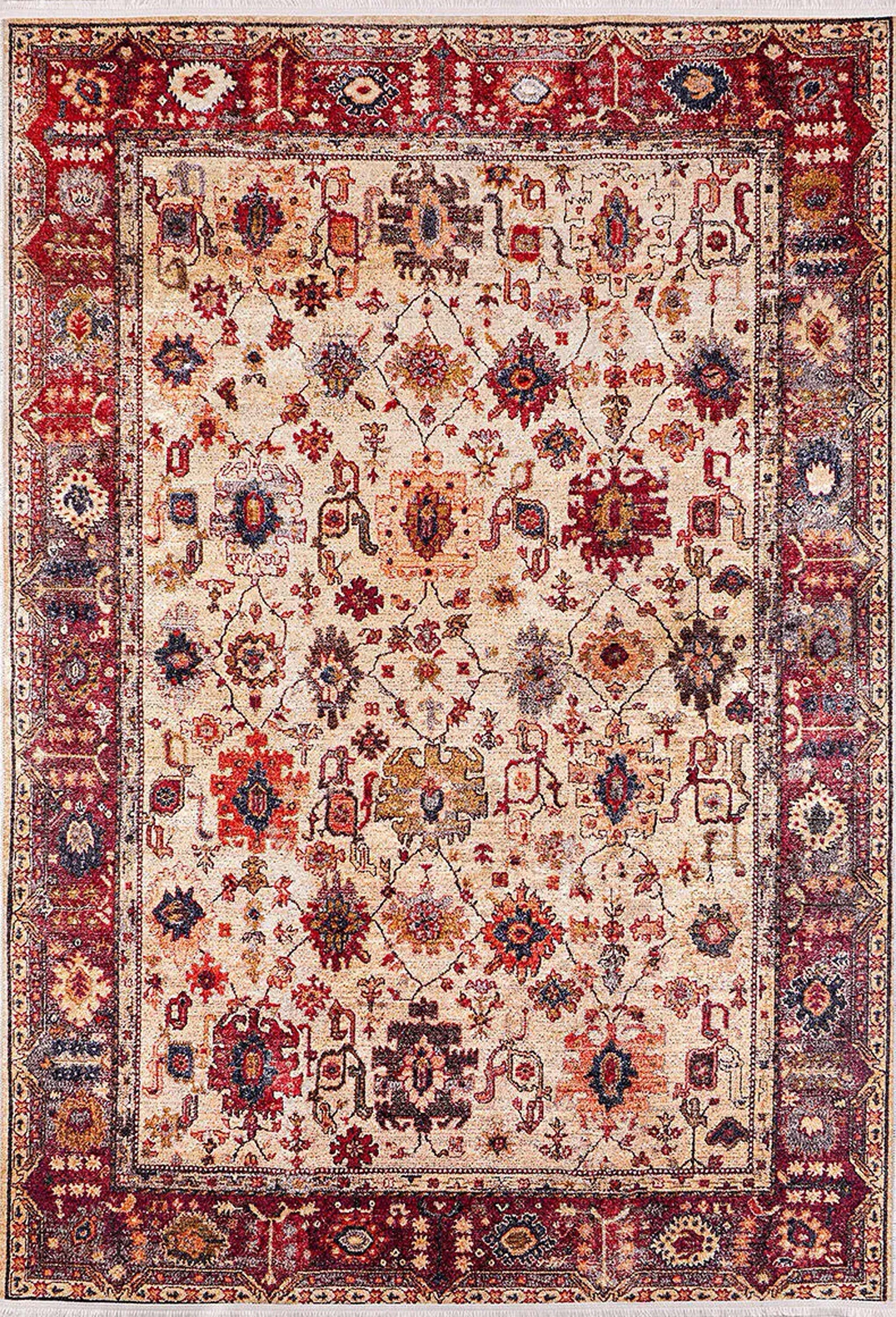 Afra Turkish Oushak Red Beige Rug