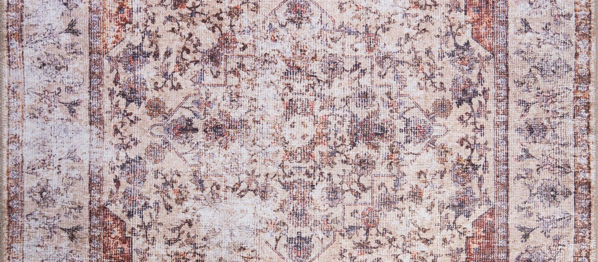 Aisha Oriental Distressed Red and Beige Rug