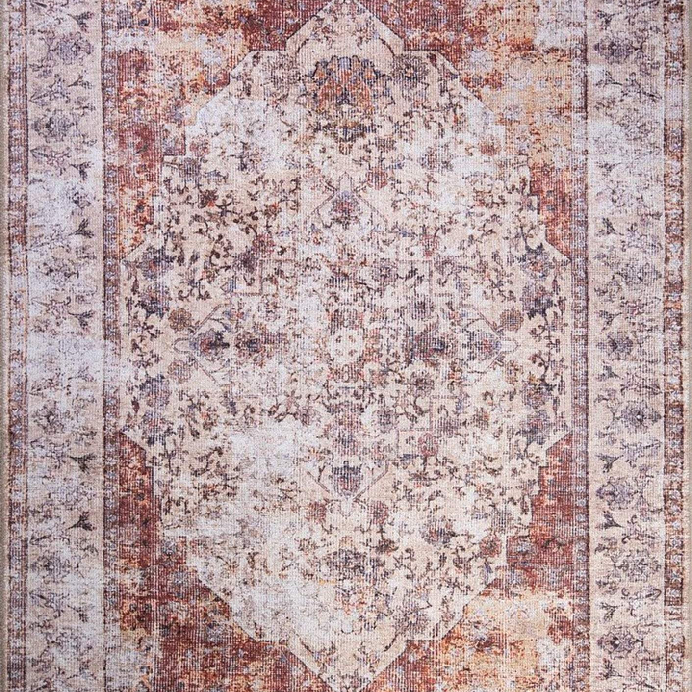 Aisha Oriental Distressed Red and Beige Rug