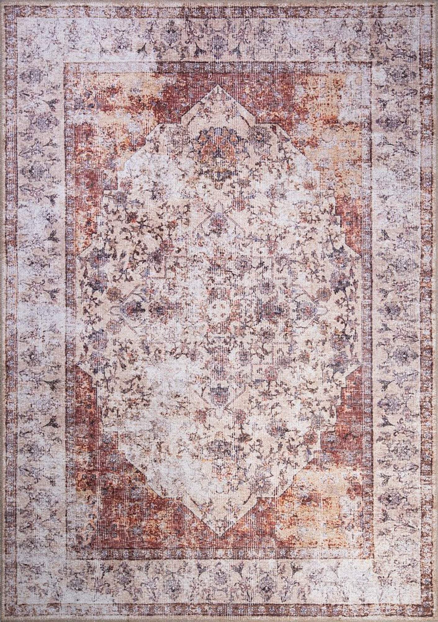 Aisha Oriental Distressed Red and Beige Rug