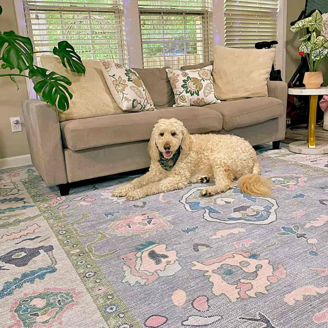 Aviana Pastel Lavender Modern Oushak Rug - Living Room Rugs - Fame Rugs