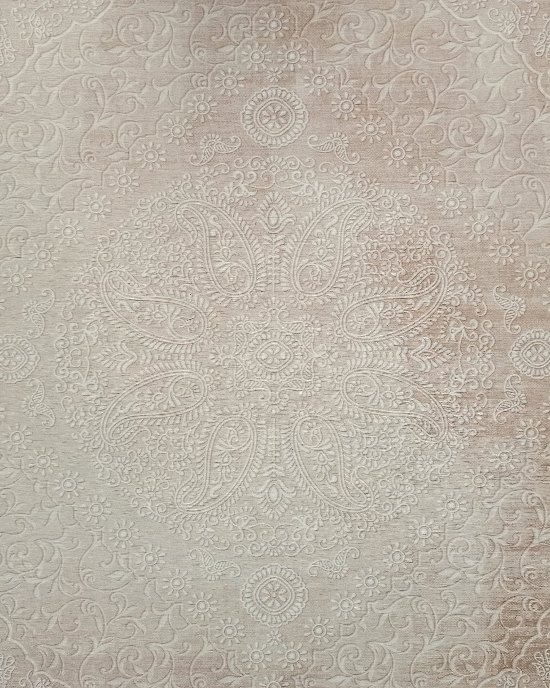 Ela Rug Faded Neutral Beige Vintage Area Rug