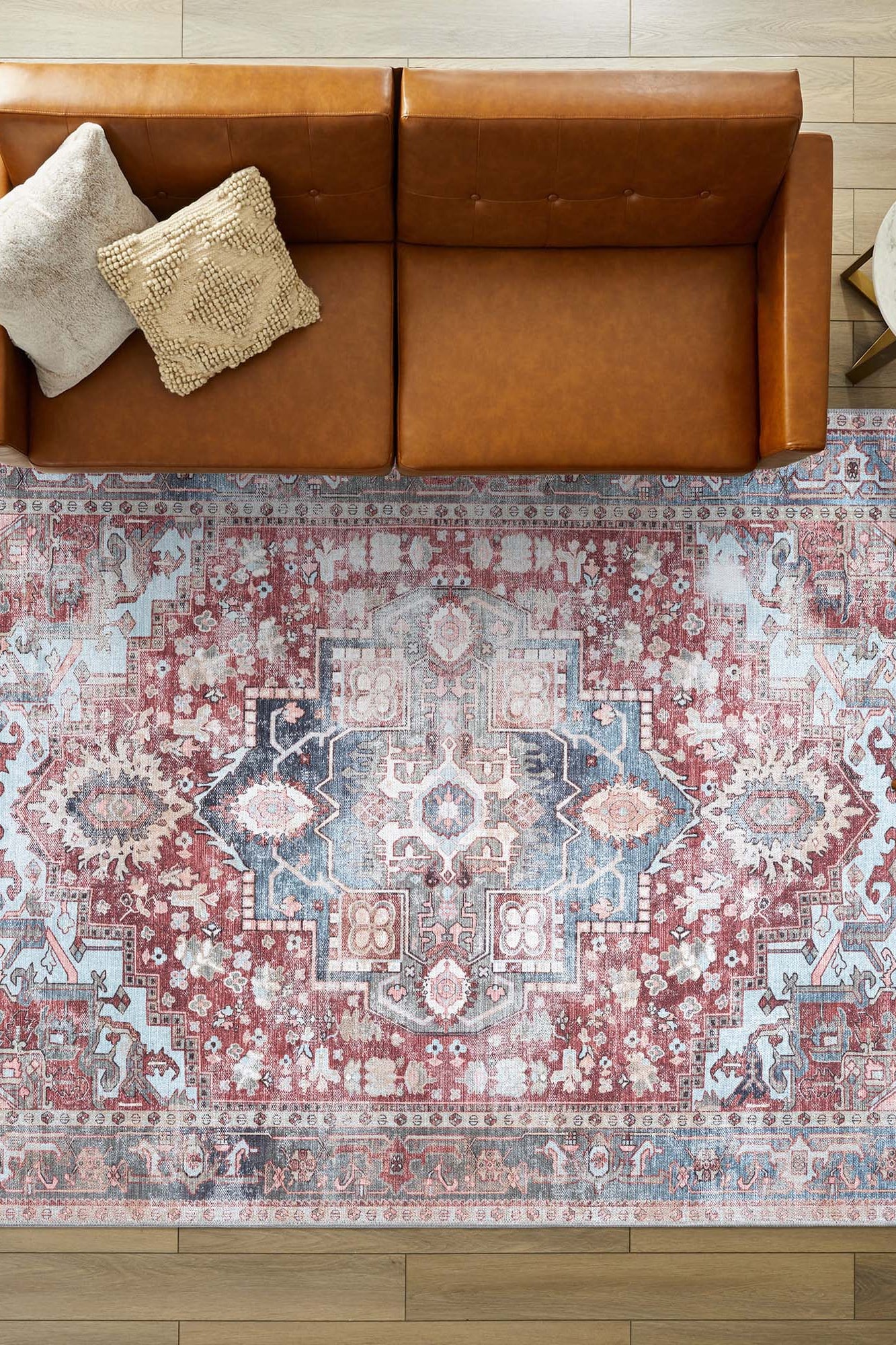 Rayan Terracotta Distressed Modern Persian Rug