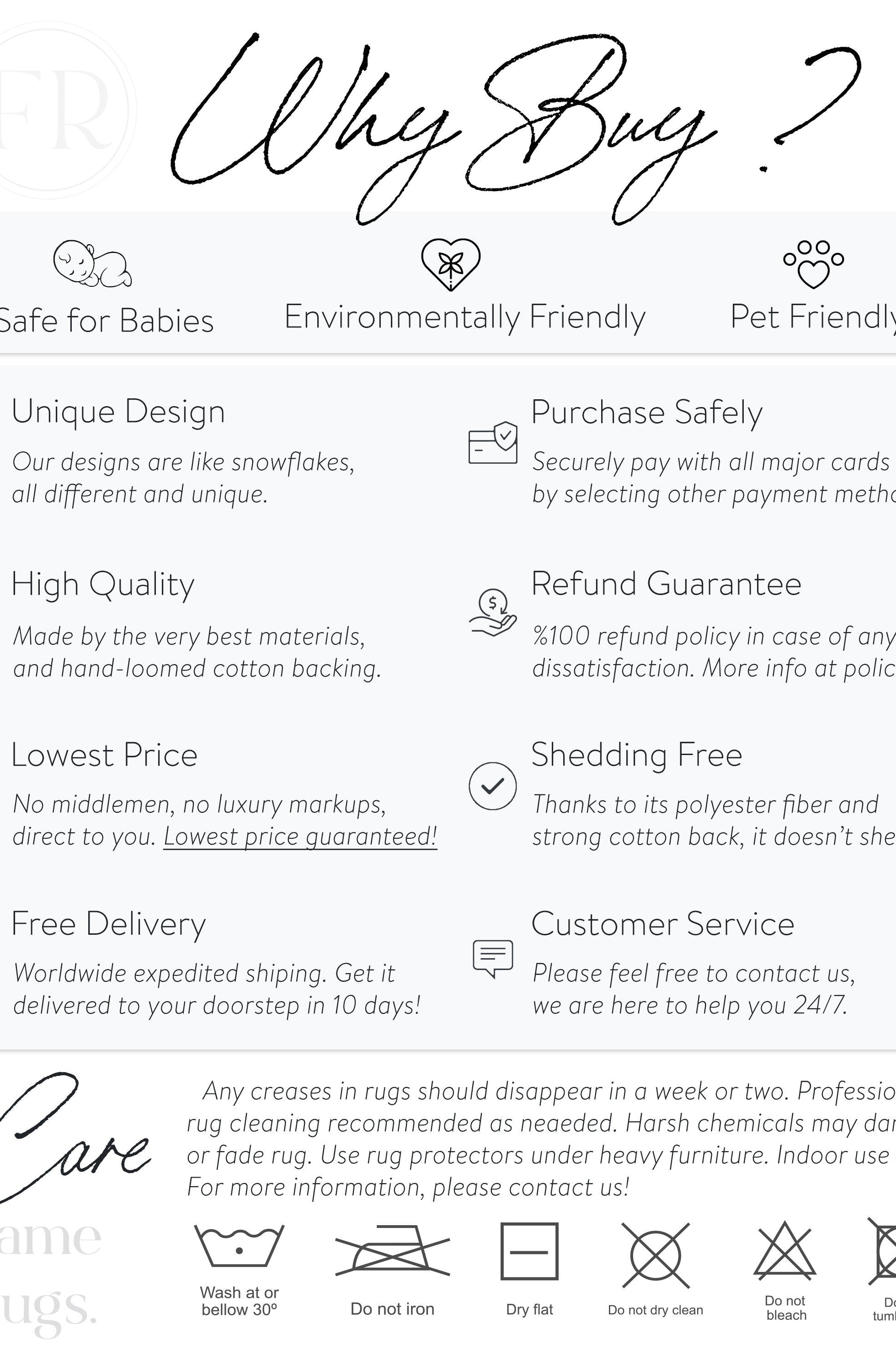 Roza Rug Persian Black Red Beige Rug