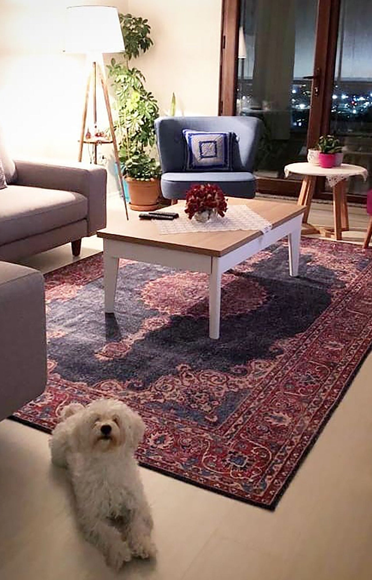 Tabri Rug Oriental Navy Blue Red Rug