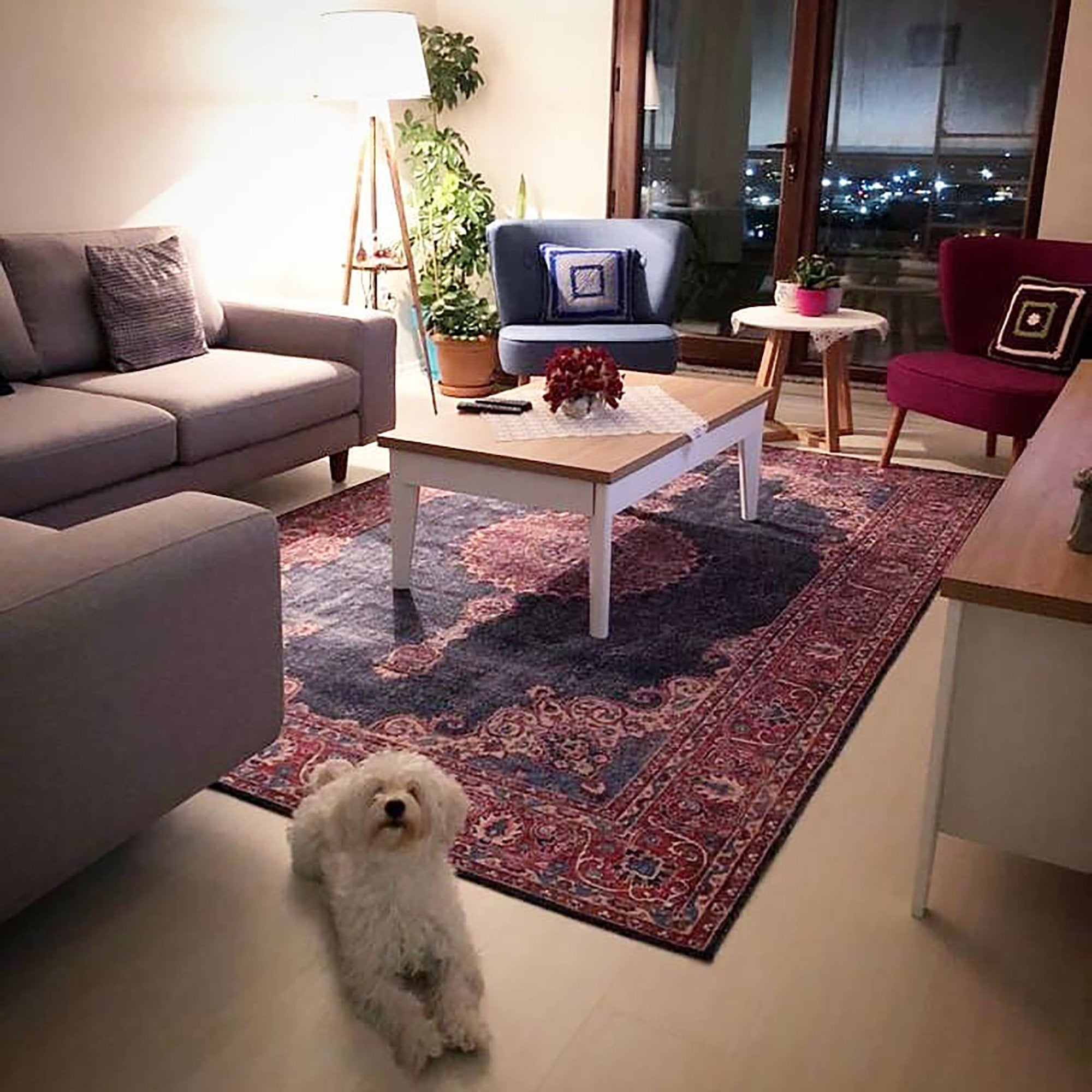 Tabri Rug Oriental Navy Blue Red Rug