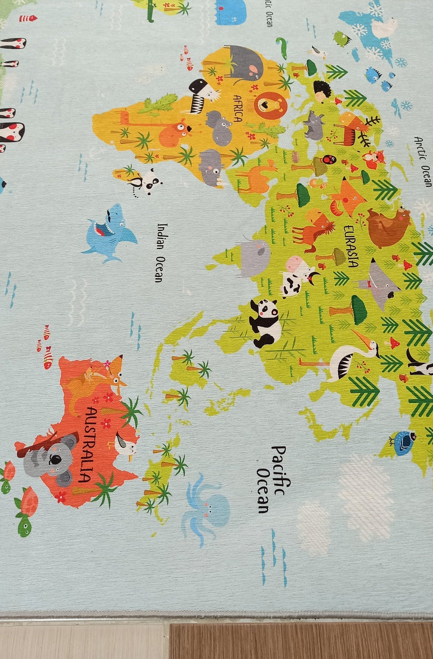 World Rug World Map Kids Play Rug