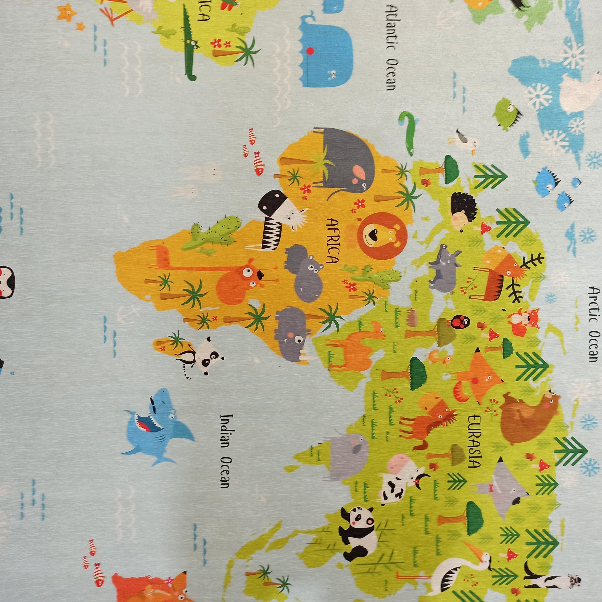 World Rug World Map Kids Play Rug