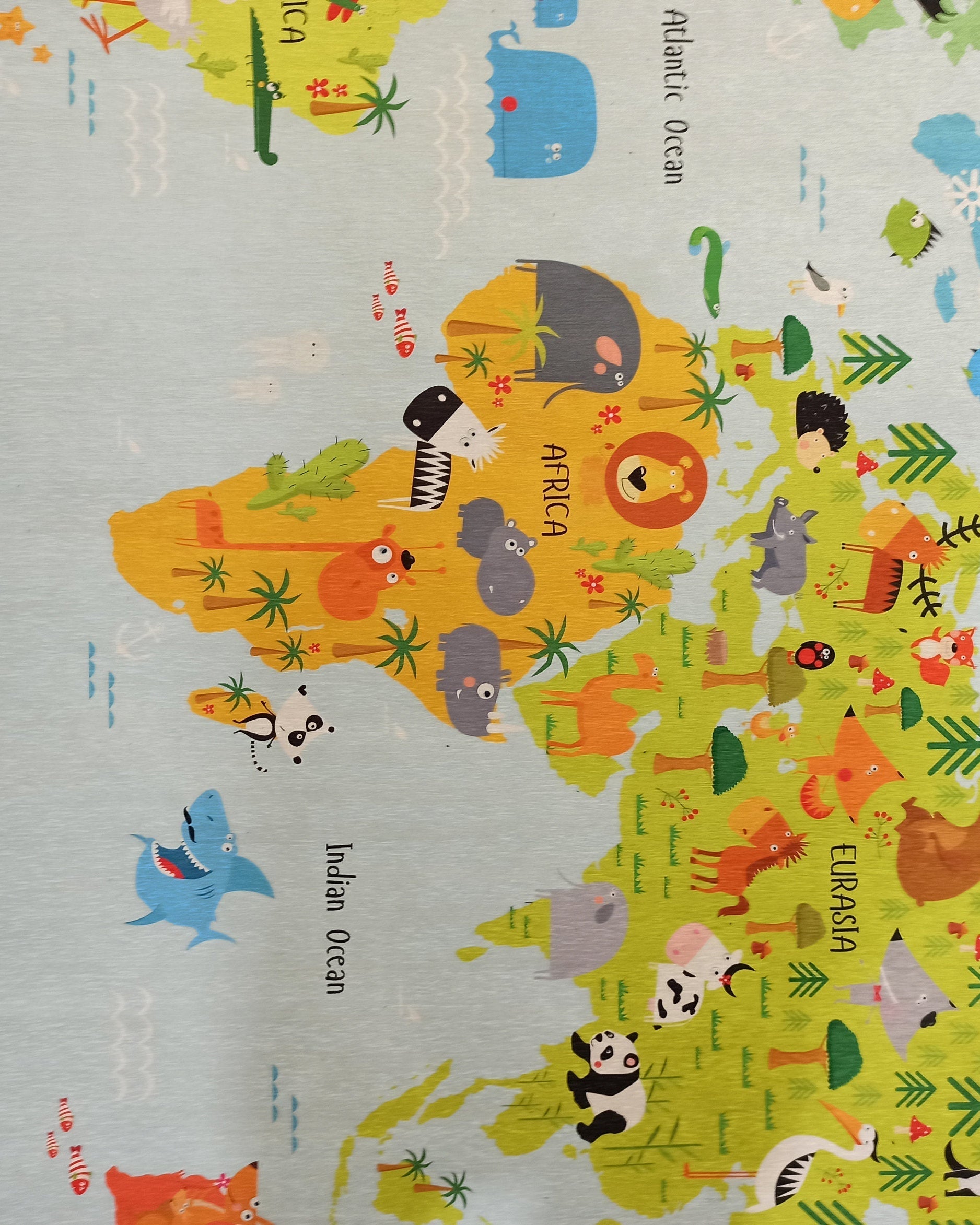 World Rug World Map Kids Play Rug