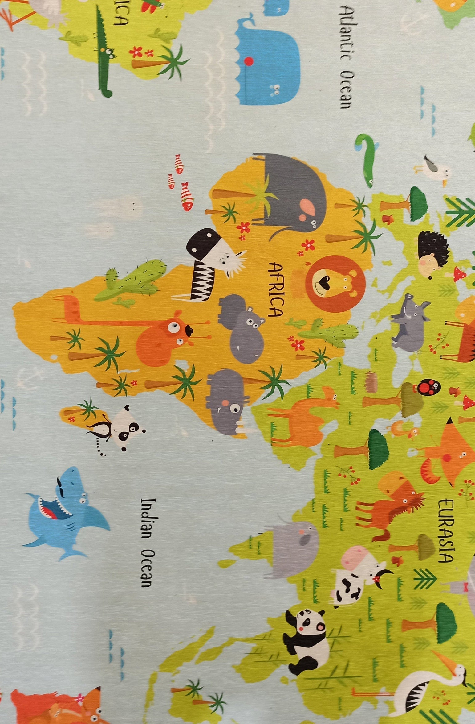 World Rug World Map Kids Play Rug