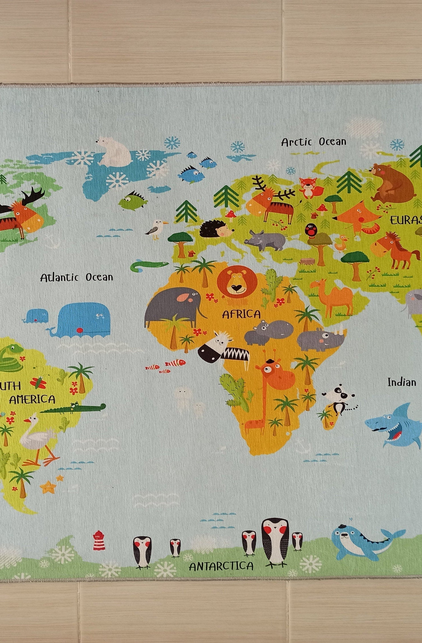 World Rug World Map Kids Play Rug
