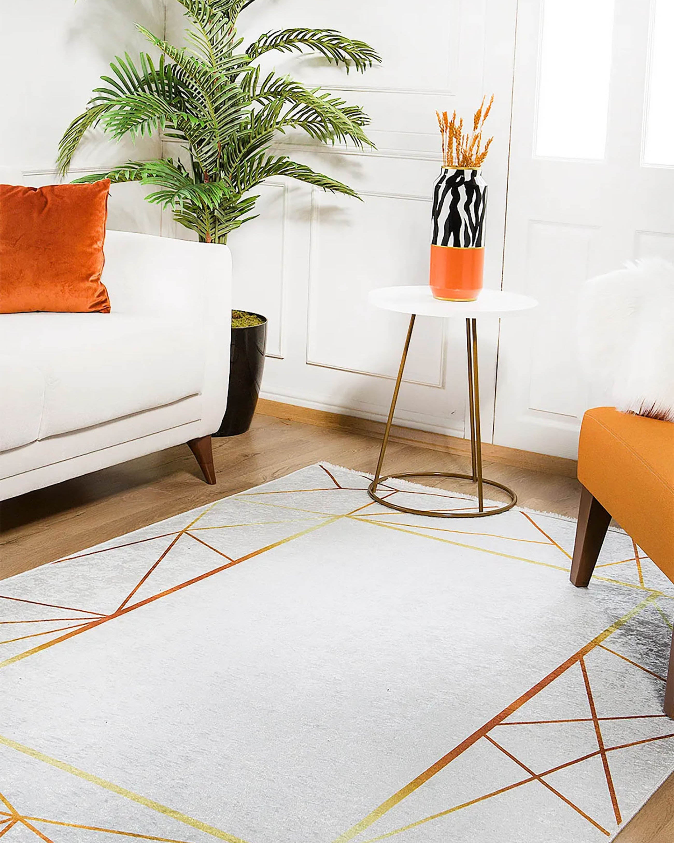 Mikaela Geometric Border Modern Home Decor Rug