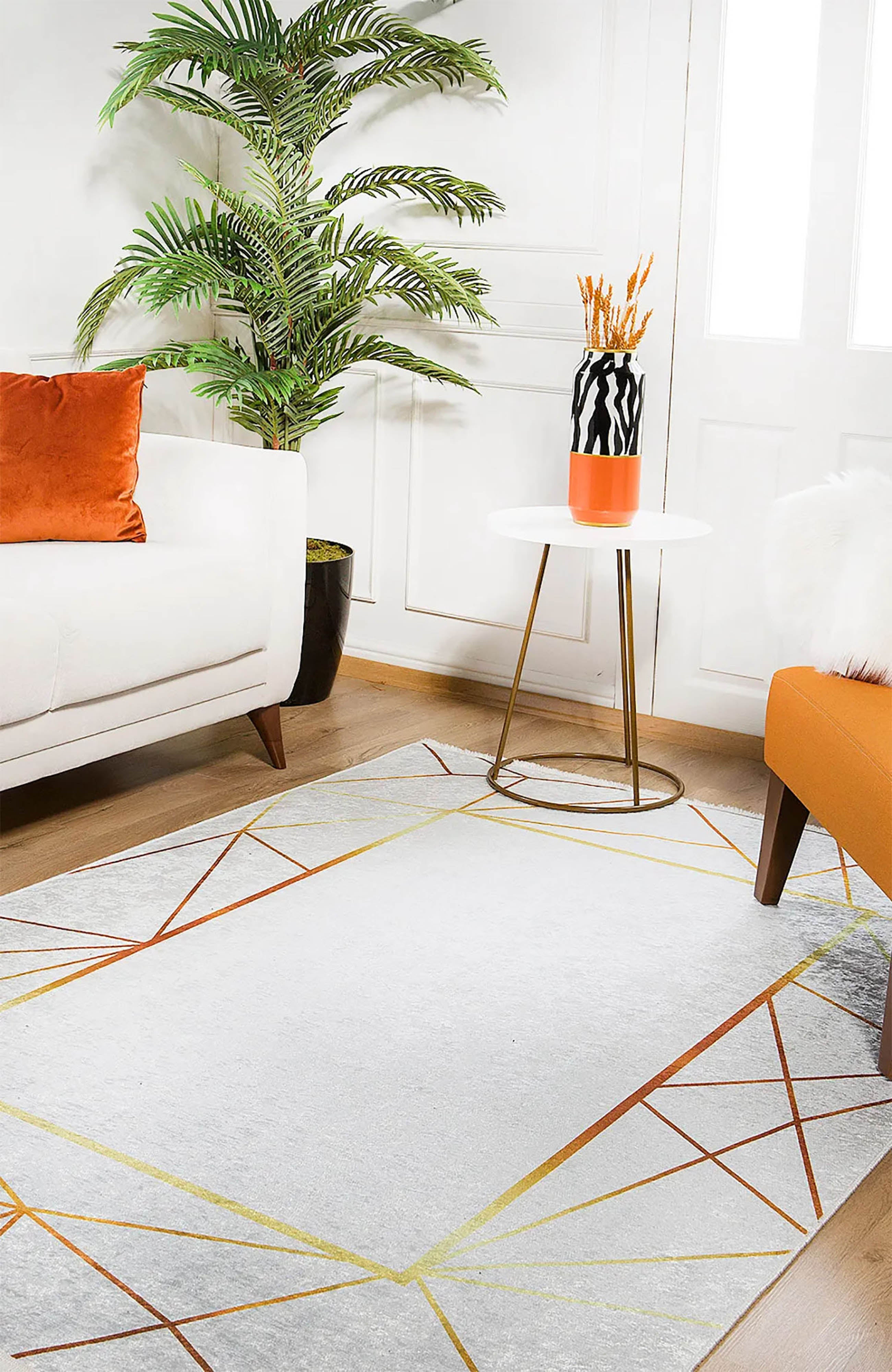 Mikaela Geometric Border Modern Home Decor Rug