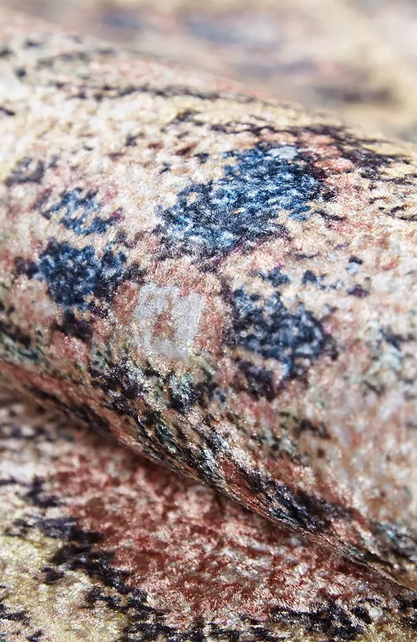 Amaya Honeycomb Unique Light Pink Turkish Modern Rug