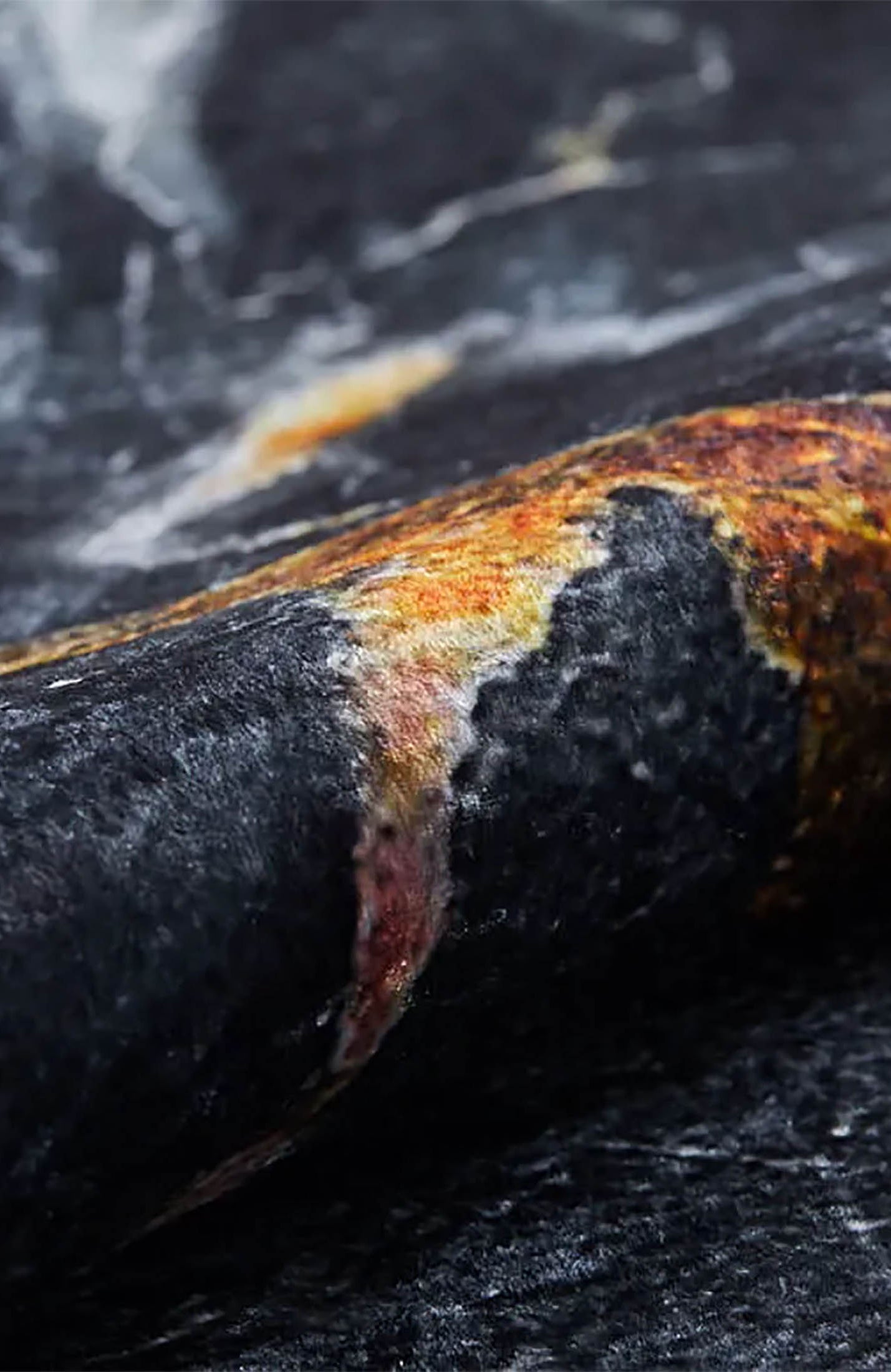 Karter Black Gold Marble Style Modern Rug