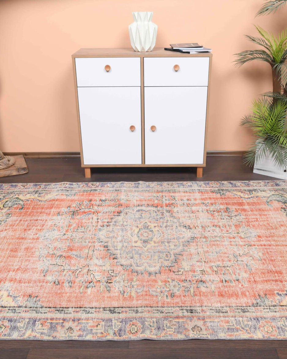 Vintage Orange Area Rug