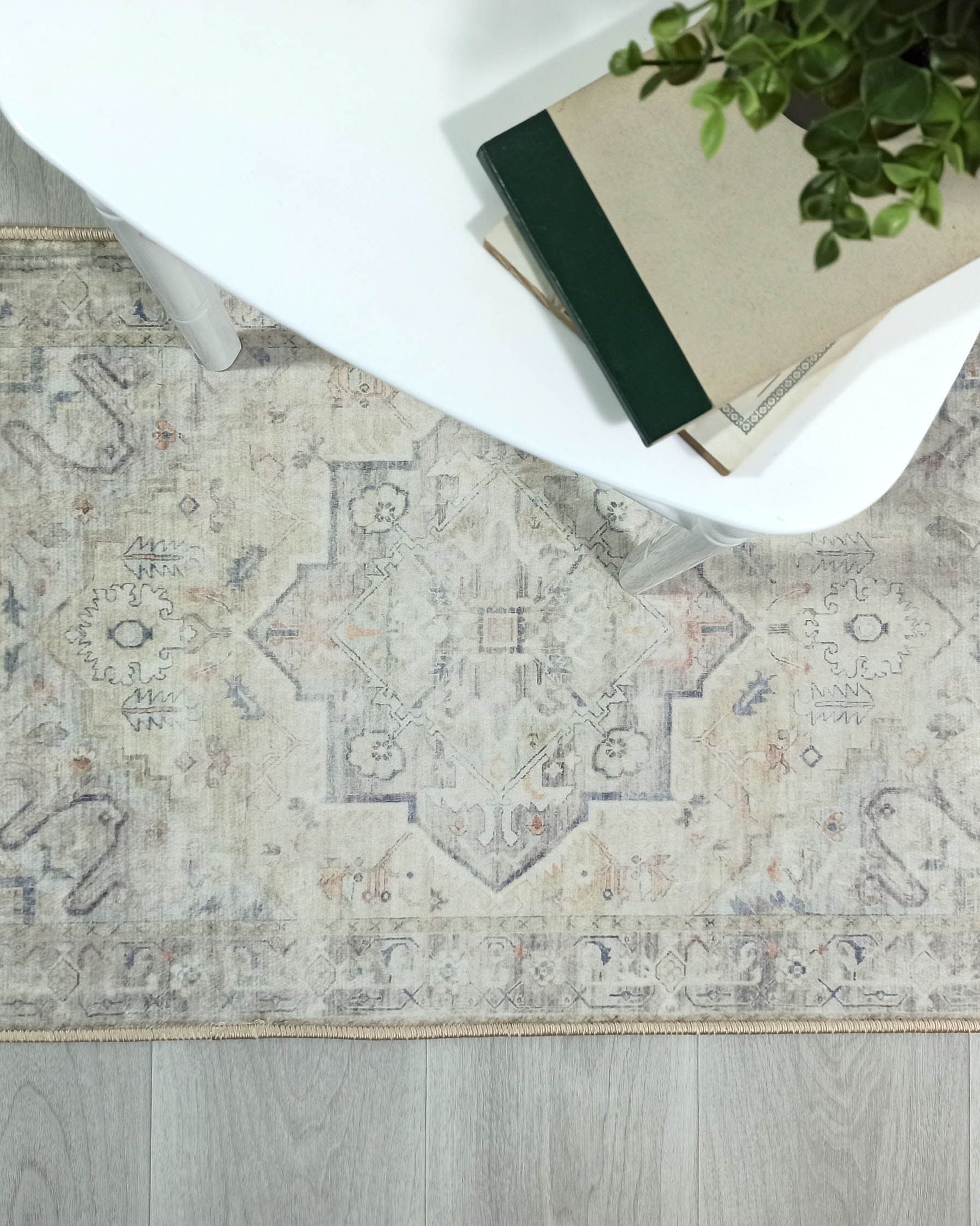 Kinzlee Neutral Beige Persian 2x3 Rug