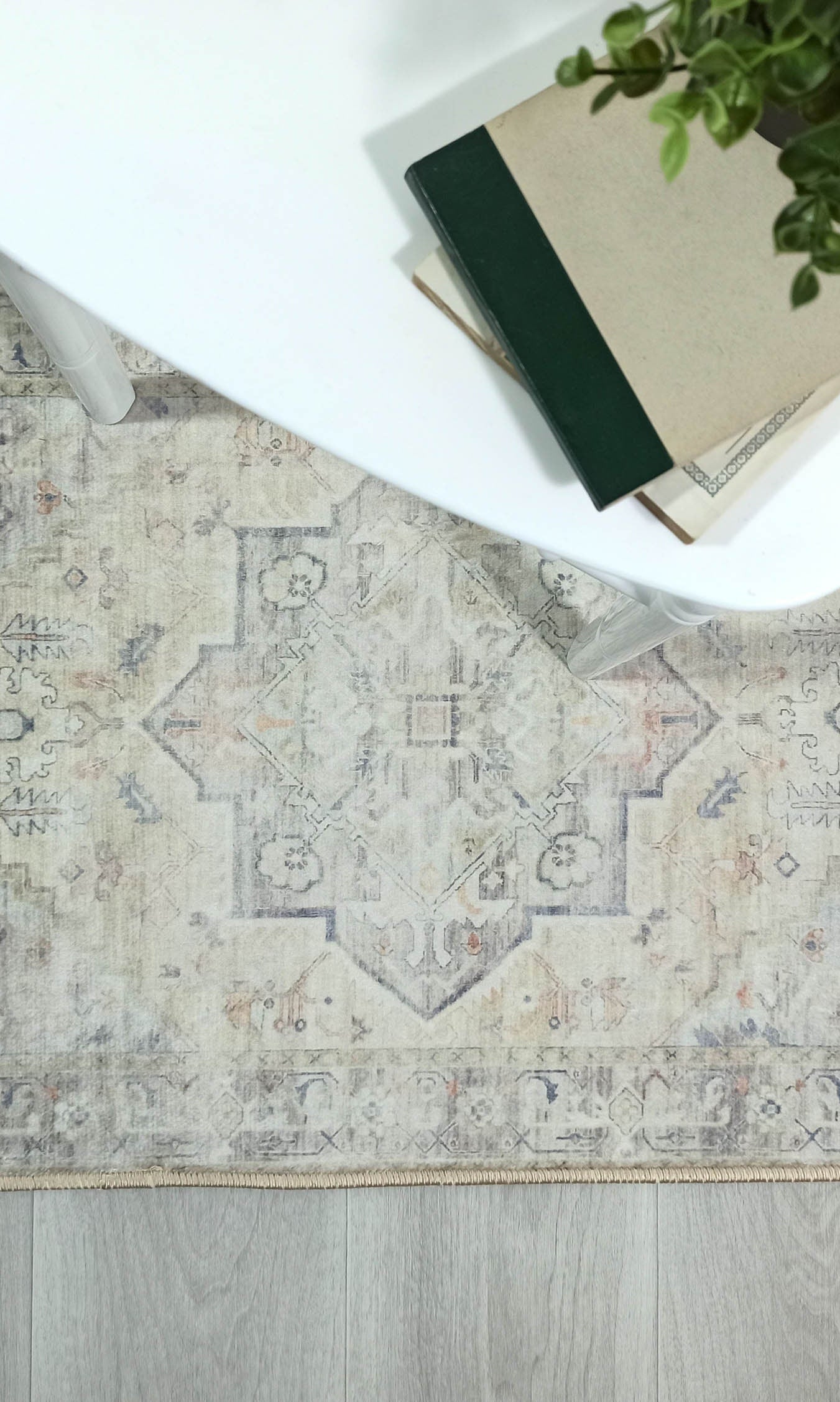 Kinzlee Neutral Beige Persian 2x3 Rug