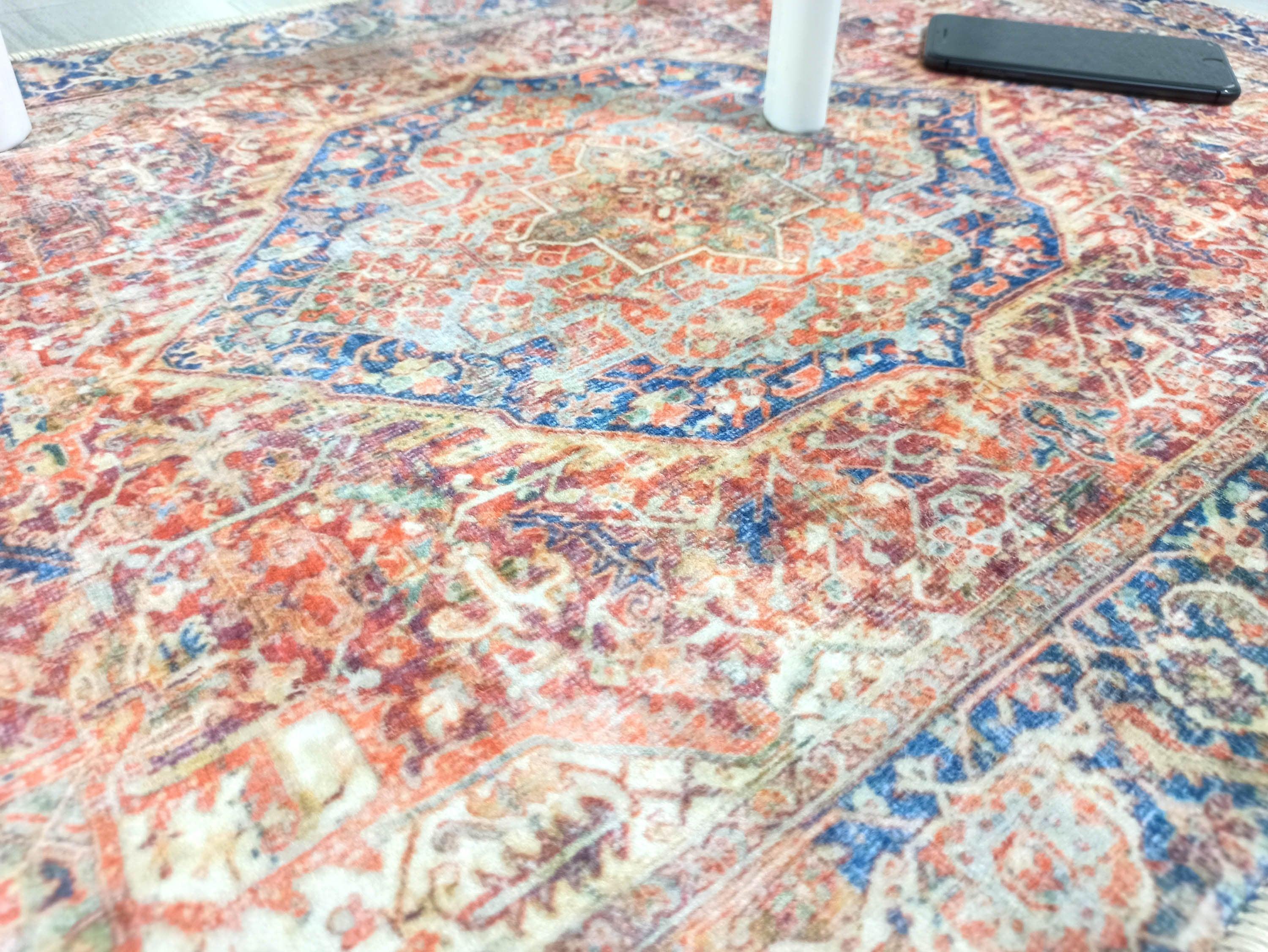 Nayeli Red Terracotta Blue Vintage Persian 2x3 Rug