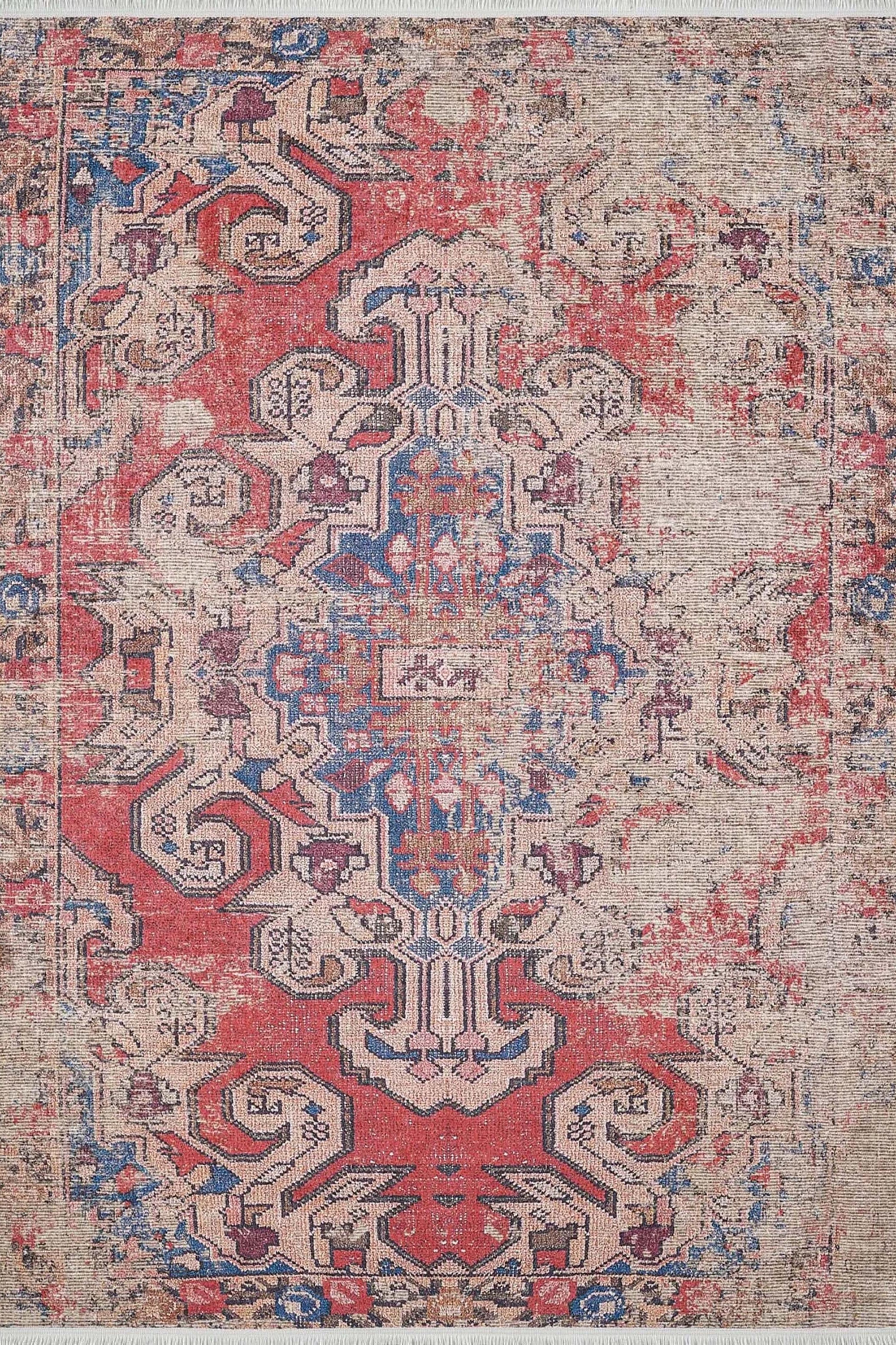 Elian Faded Blue Red Distressed Turkish 2x3 Rug