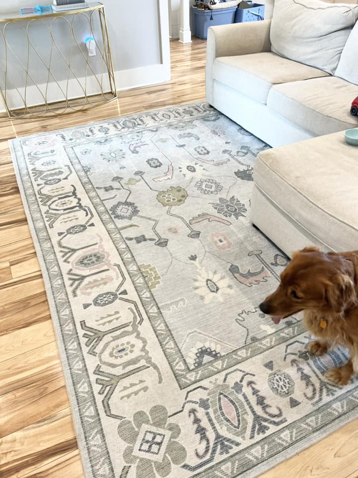 Light blue Oushak rug in a minimalist living room, creating a breezy coastal-inspired atmosphere for summer.