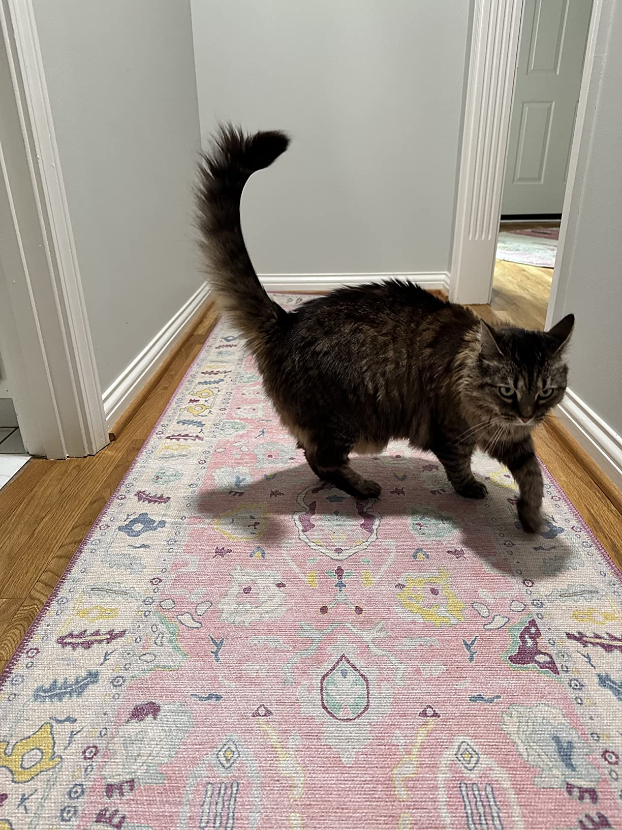 Washable hallway runner rug with a cat, ideal for homes with kids, pets, and everyday messes.