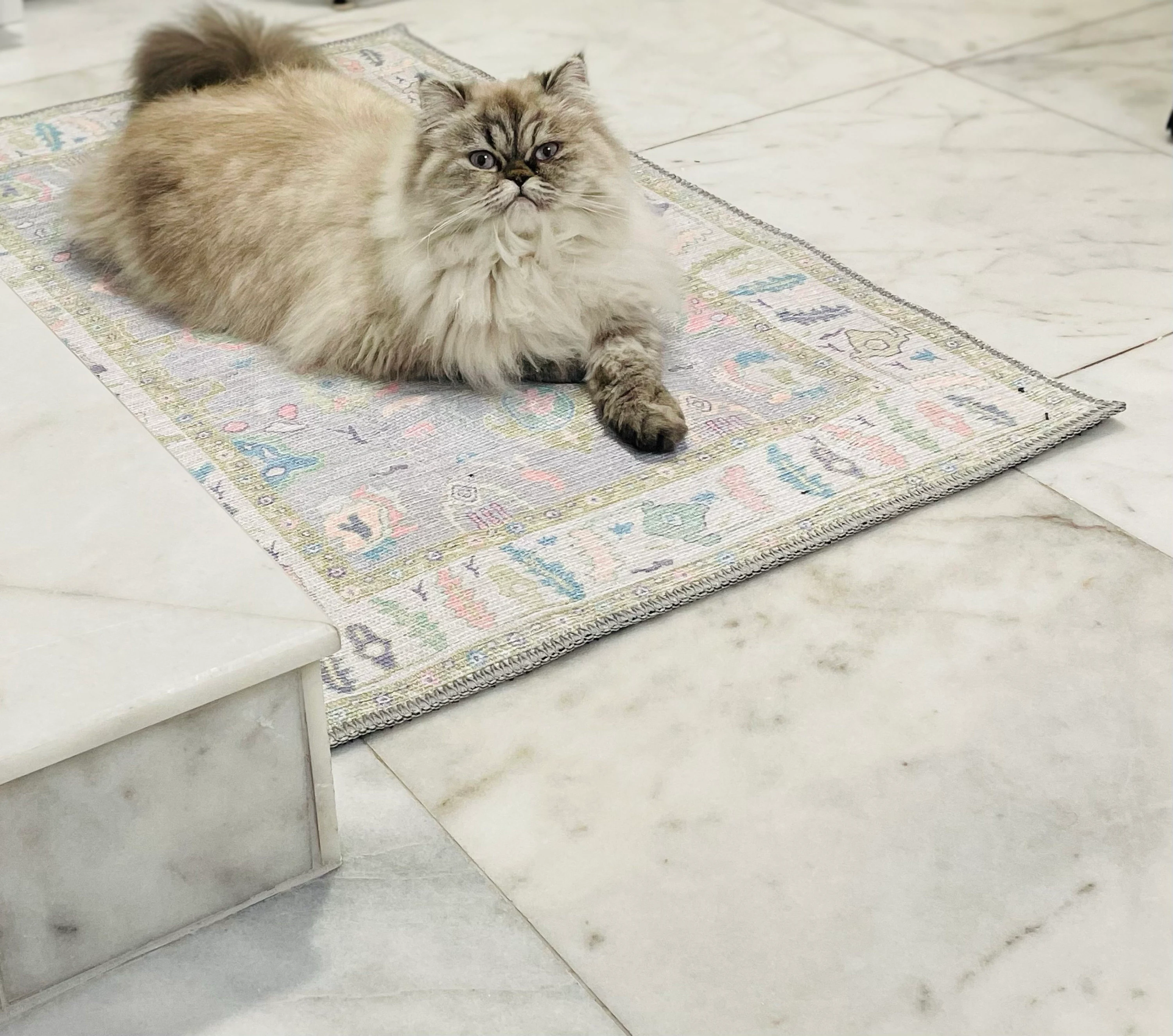 Cat lounging on a soft, washable bathroom rug, adding a cozy and playful touch to the bright, stylish bathroom space.