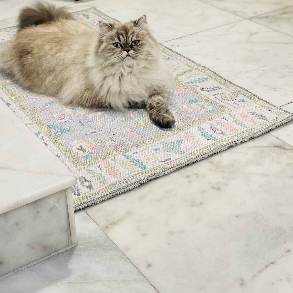 Add Color to Your Bathroom with These Stylish Rugs – fame