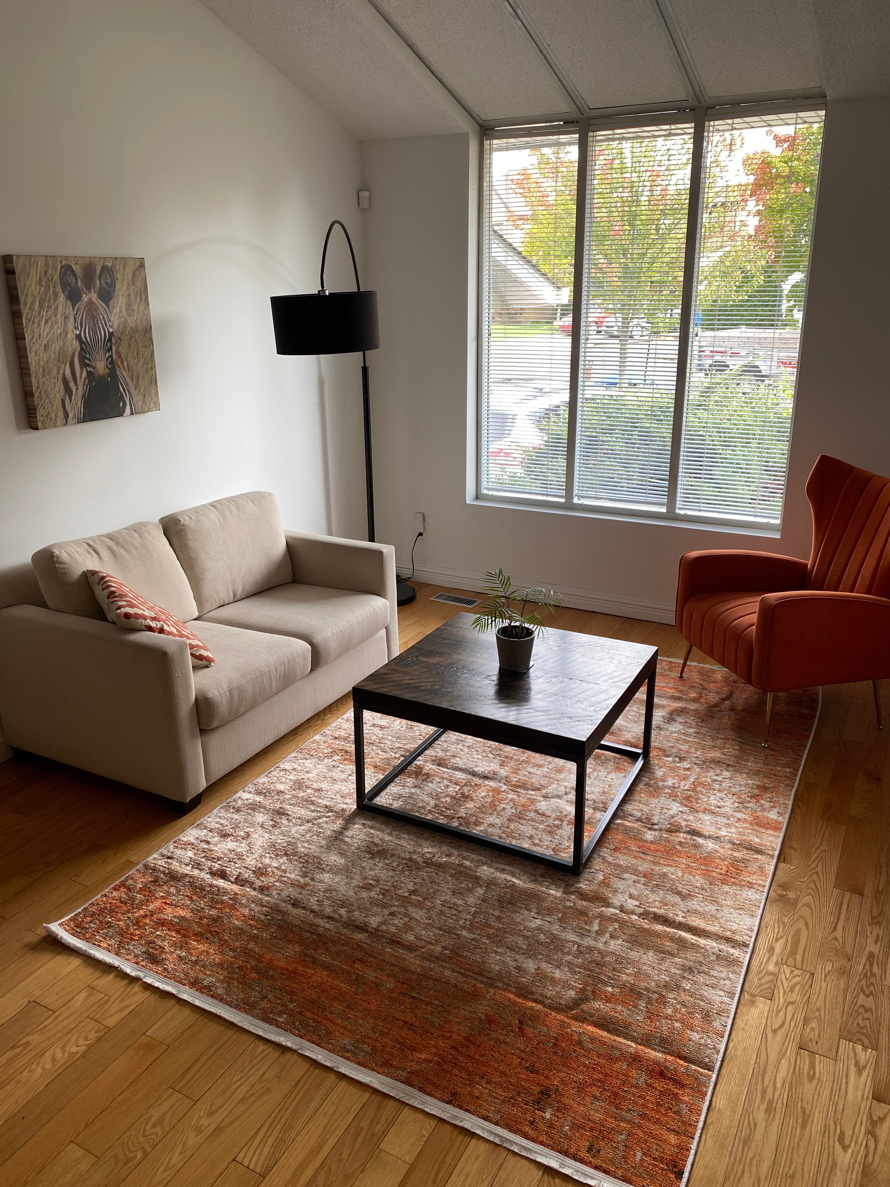Burnt orange area rug adding warmth and rich color to a stylish living room with modern décor.