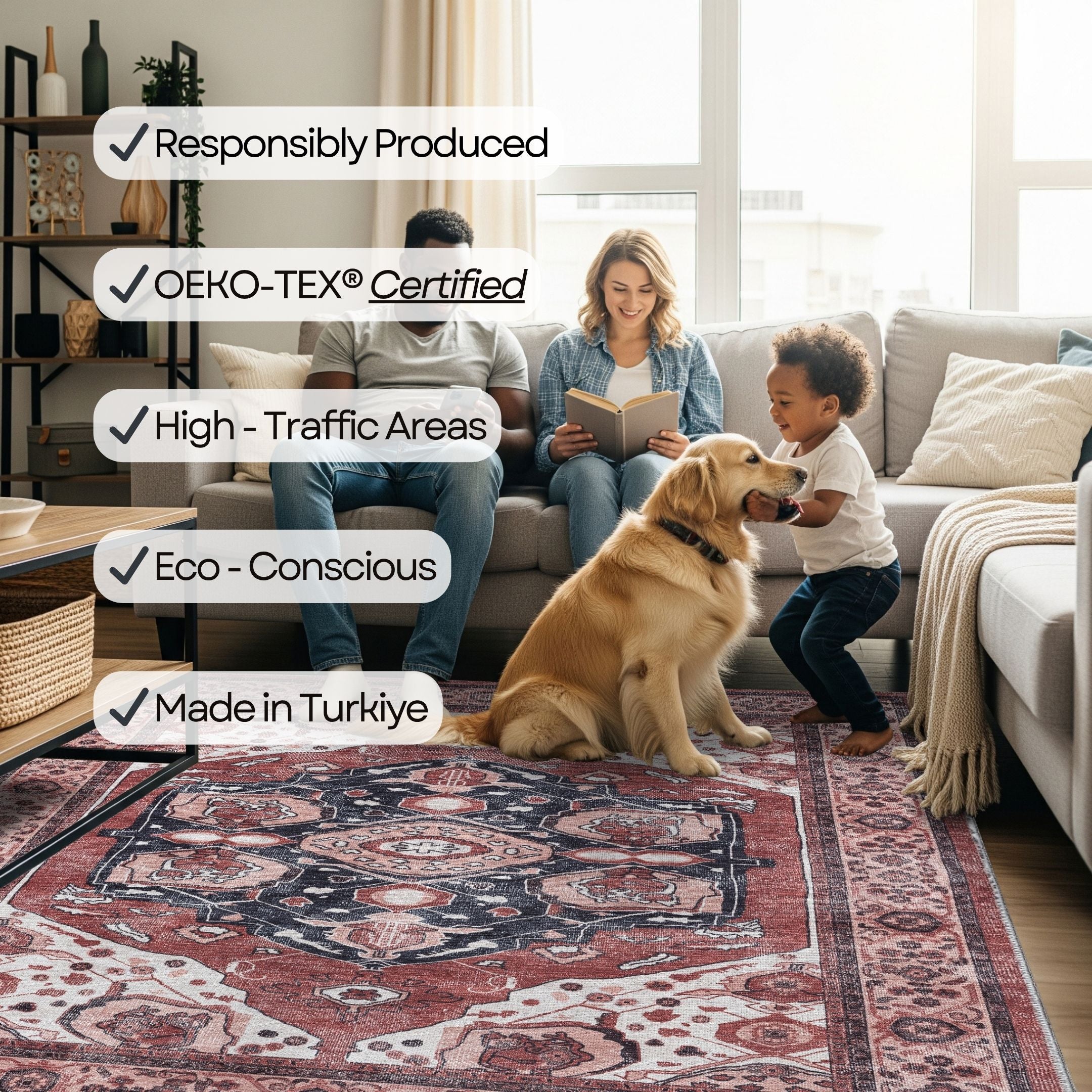 Eco-friendly sustainable rug in a modern living room with a family and their dog