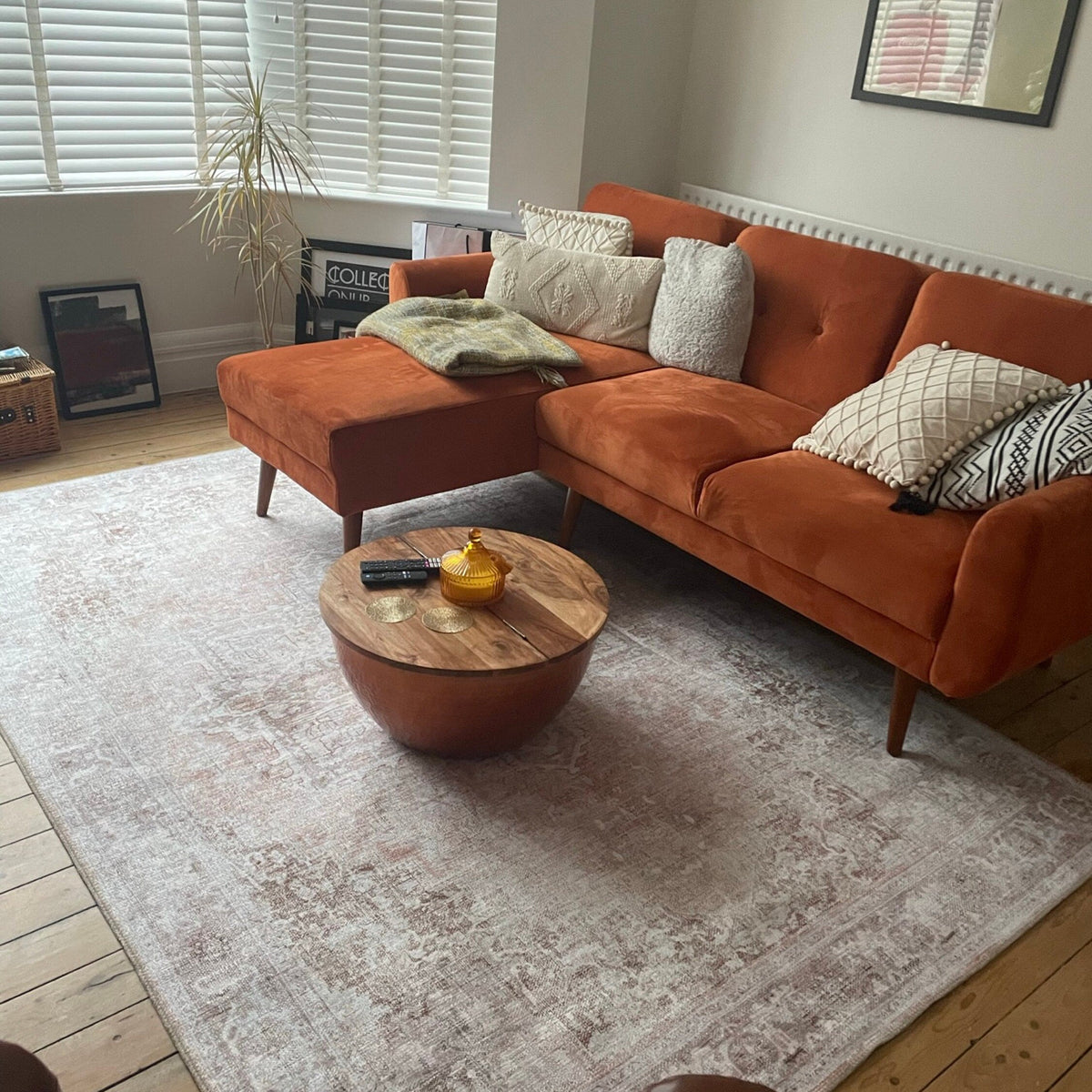 Why Cotton Rugs Are a Must-Have for Everyday Living – Fame Rugs