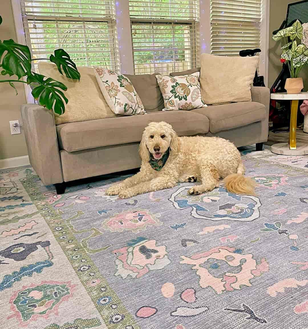 Aviana Pastel Lavender Modern Oushak Rug - Living Room Rugs - Fame Rugs