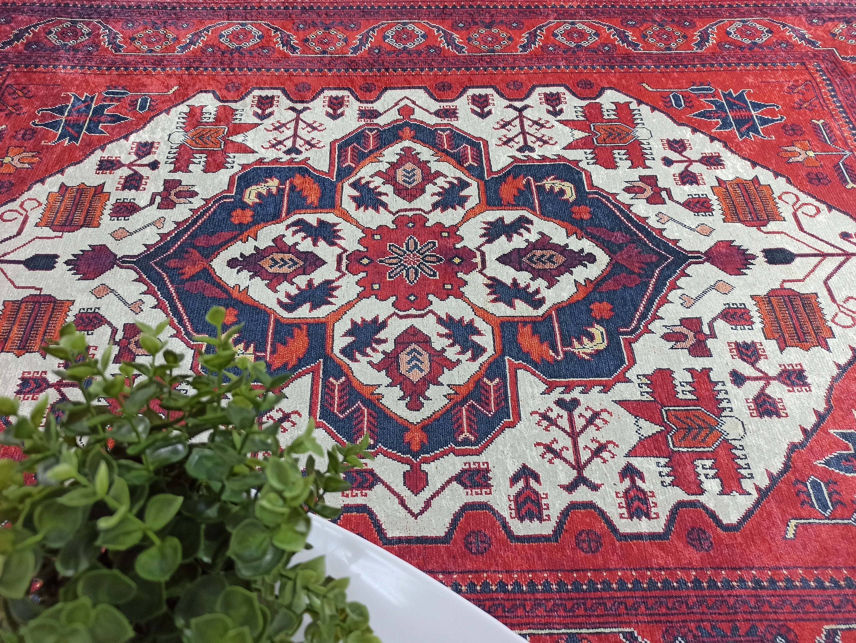 Eyma Rug Vintage Red Bokhara Rug