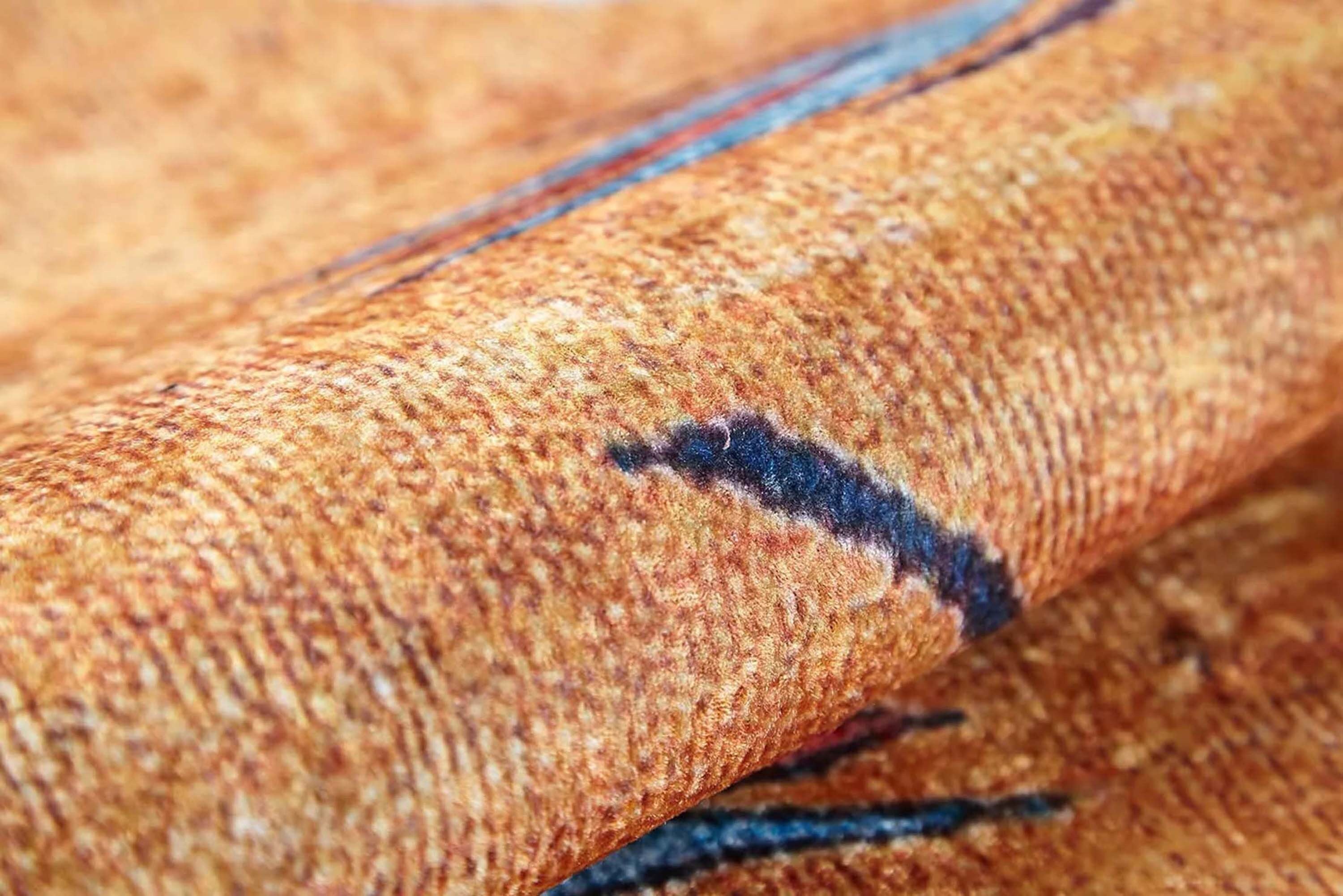 Litya Turkish Kilim Light Blue and Orange Rug