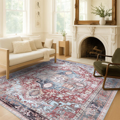 Rayan Terracotta Distressed Modern Persian Rug