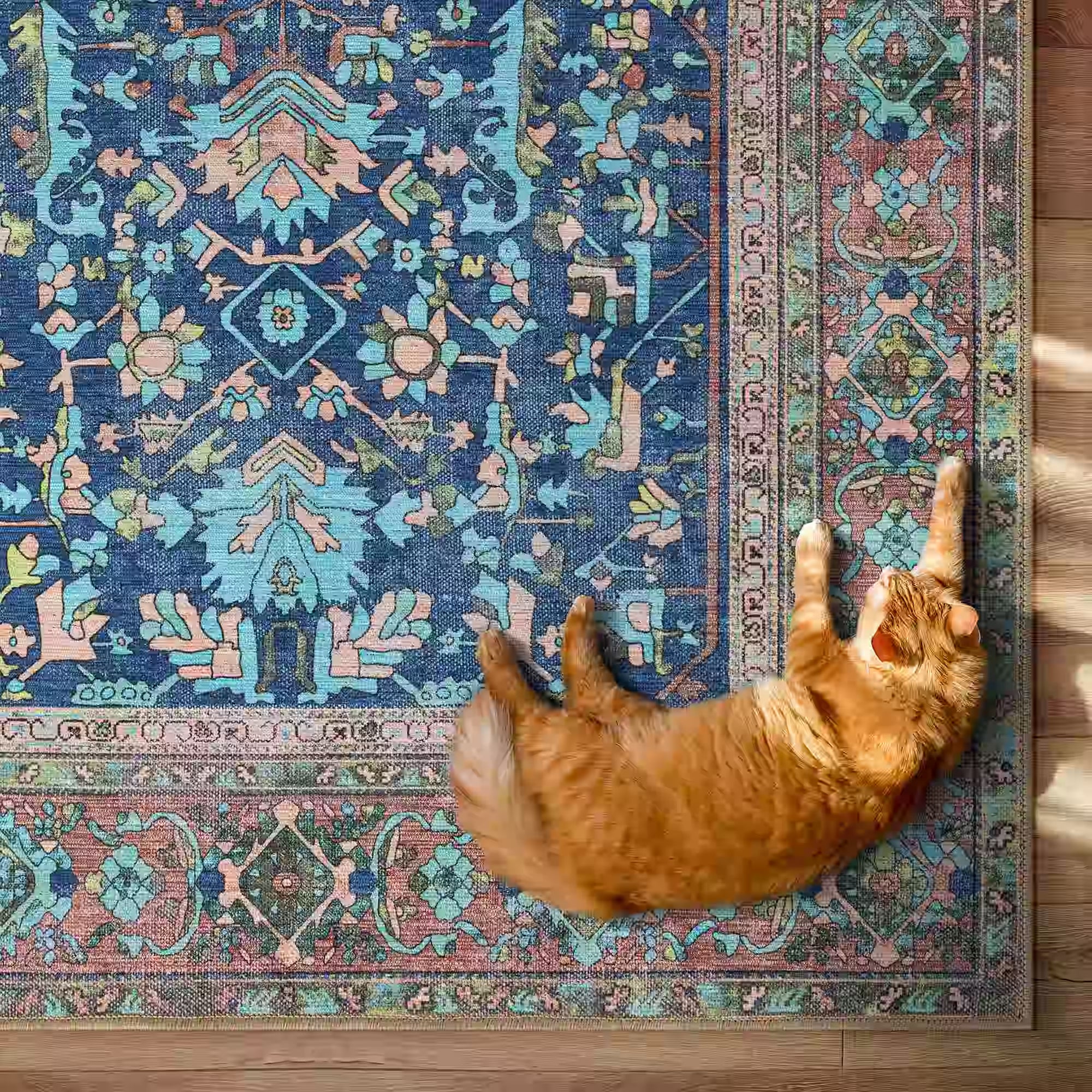 A long orange cat lies stretched out on a large patterned area rug with a blue, teal, pink, and beige traditional design, placed on a wooden floor. Fame Rugs.