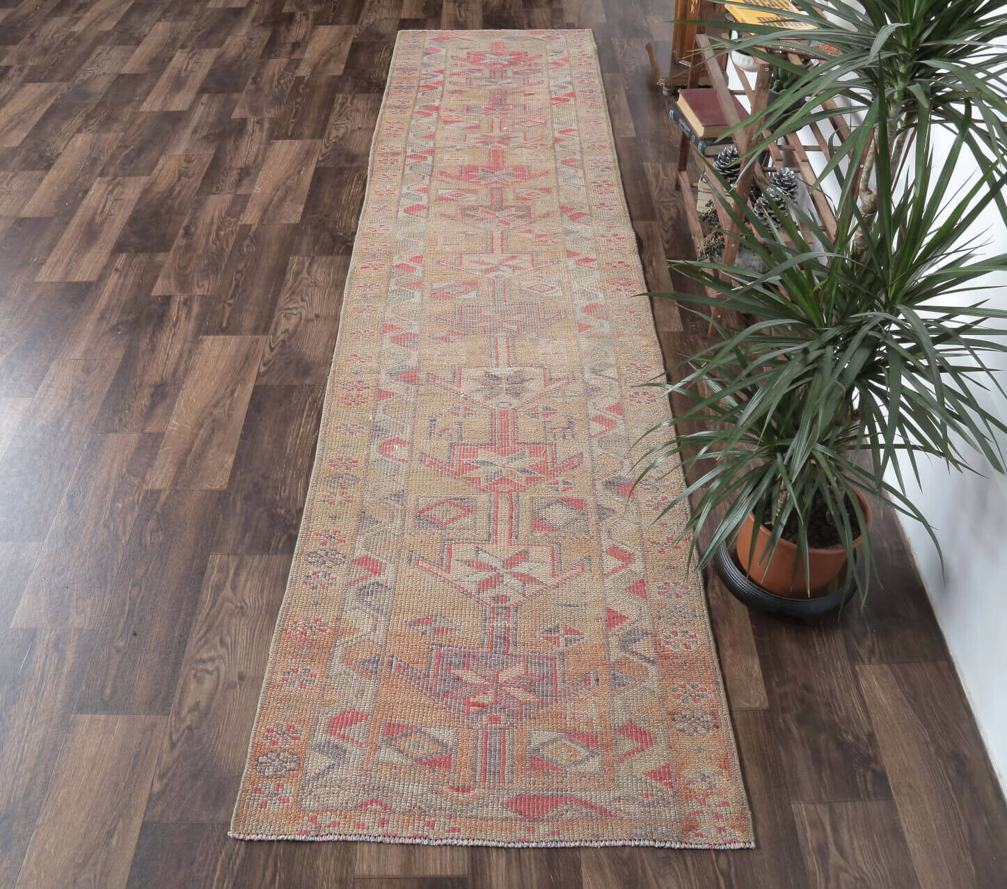 Colman - Anatolian Vintage Ancestor Runner